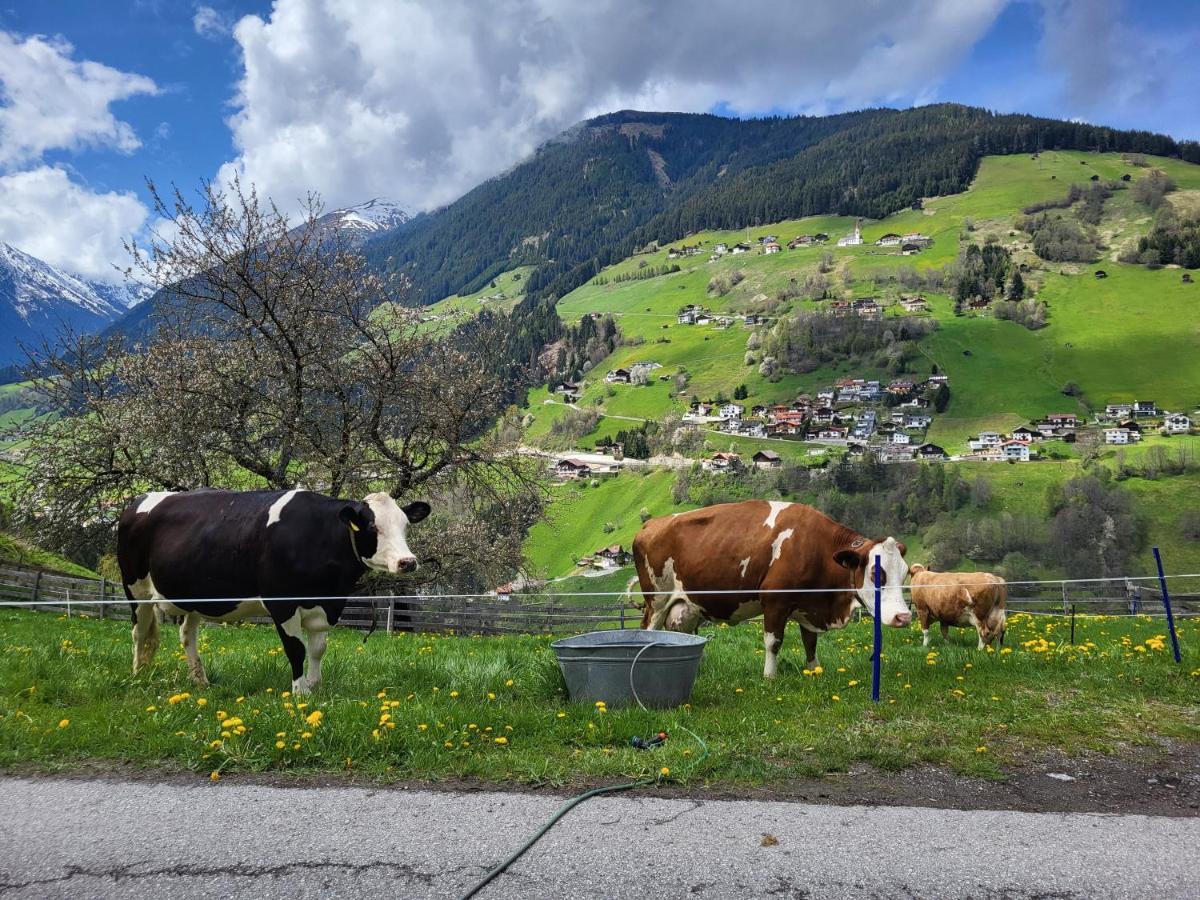 Bergbauernhof-Grinzens Apartman Kültér fotó
